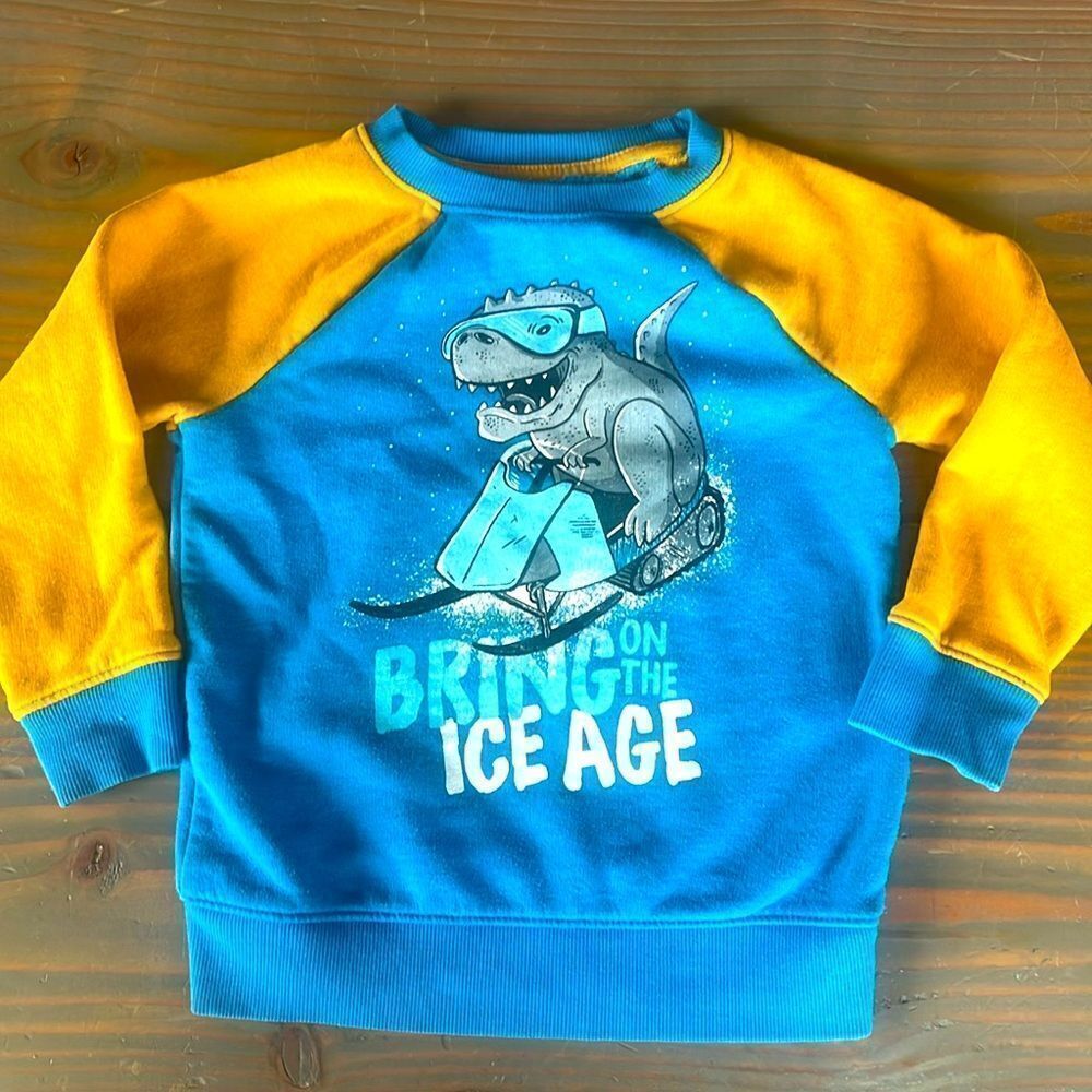 3/$15 Toddler Dinosaur Sweatshirt 🦖